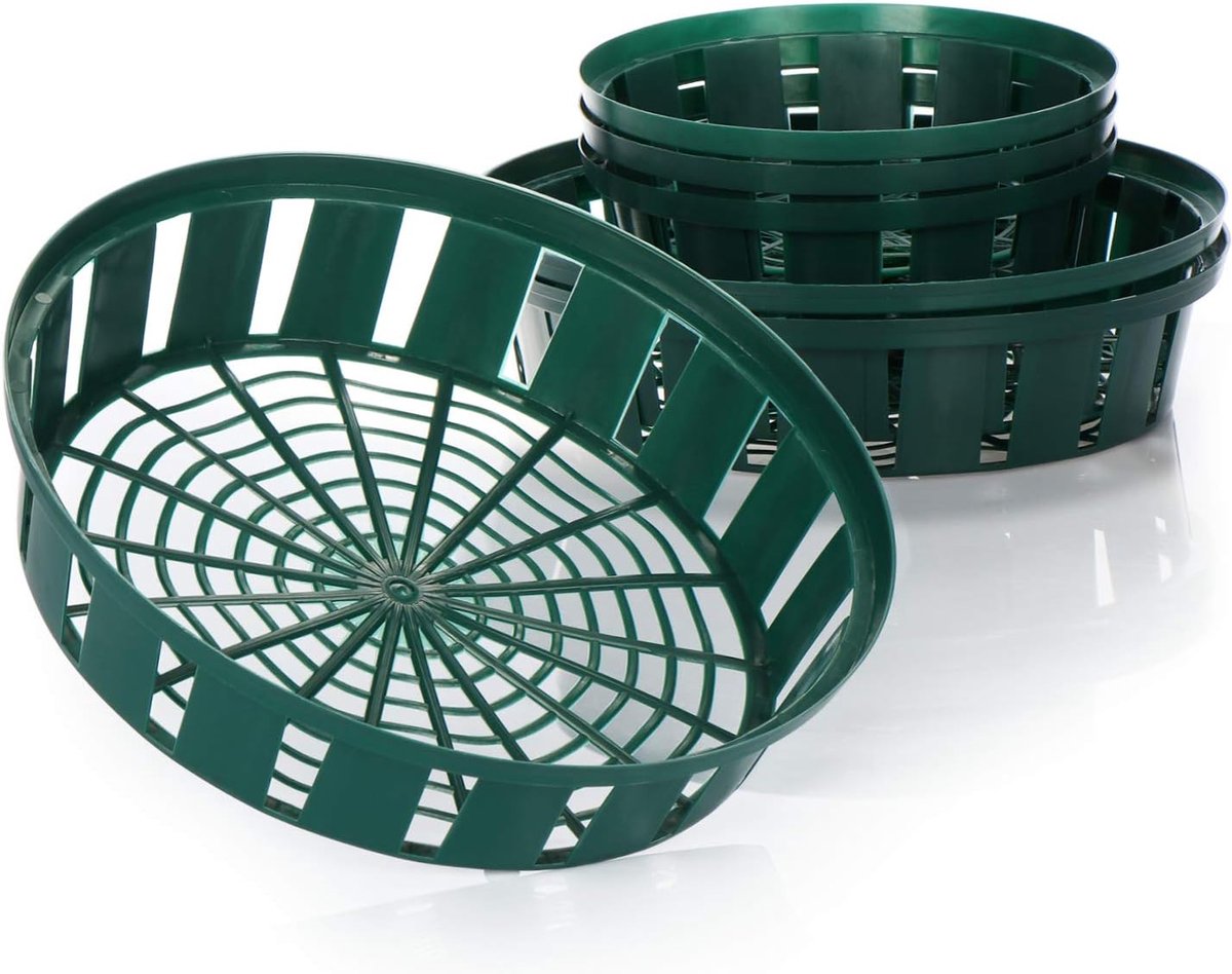 6-delige set plantenmanden voor bloembollen kweek-plantenschaal voor het planten en bewaren van uienplanten groene uienmanden (06-delige set plantenschaal 22 cm 31 cm)