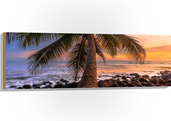 Hout - Plamboom - Zee - Zonsondergang - Stenen - 120x40 cm - 9 mm dik - Foto op Hout (Met Ophangsysteem)