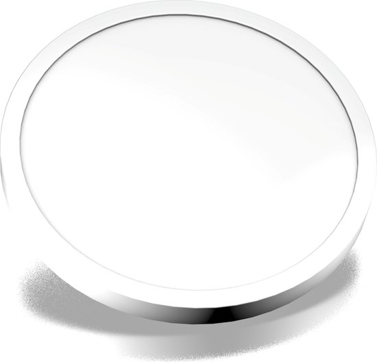 CombiCraft Winkelwagenmunt - Kunststof munt voor winkelwagen - 100 stuks