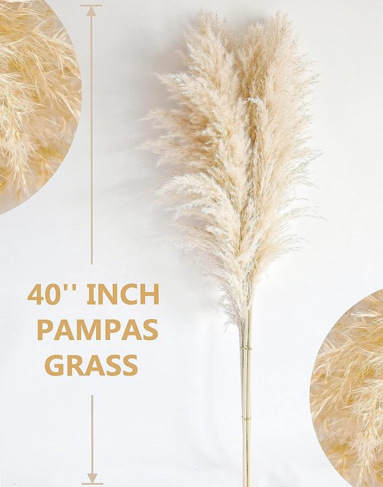 Boholife 20 Stuks Gedroogd Pampasgras, Een Eyecatcher In Huis Droogbloemen Boho Decoratie Decoratie Voor Badkamer Of Woonkamer