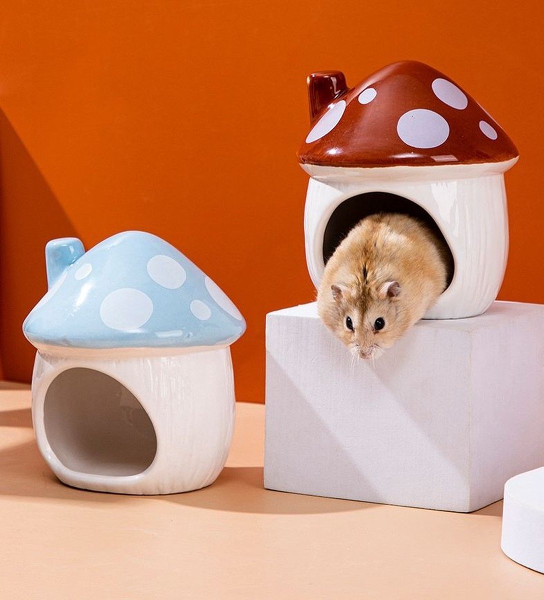 Hamster bad zand - Dierenbenodigdheden kopen Hamster bad zand - Dierenbenodigdheden kopen
