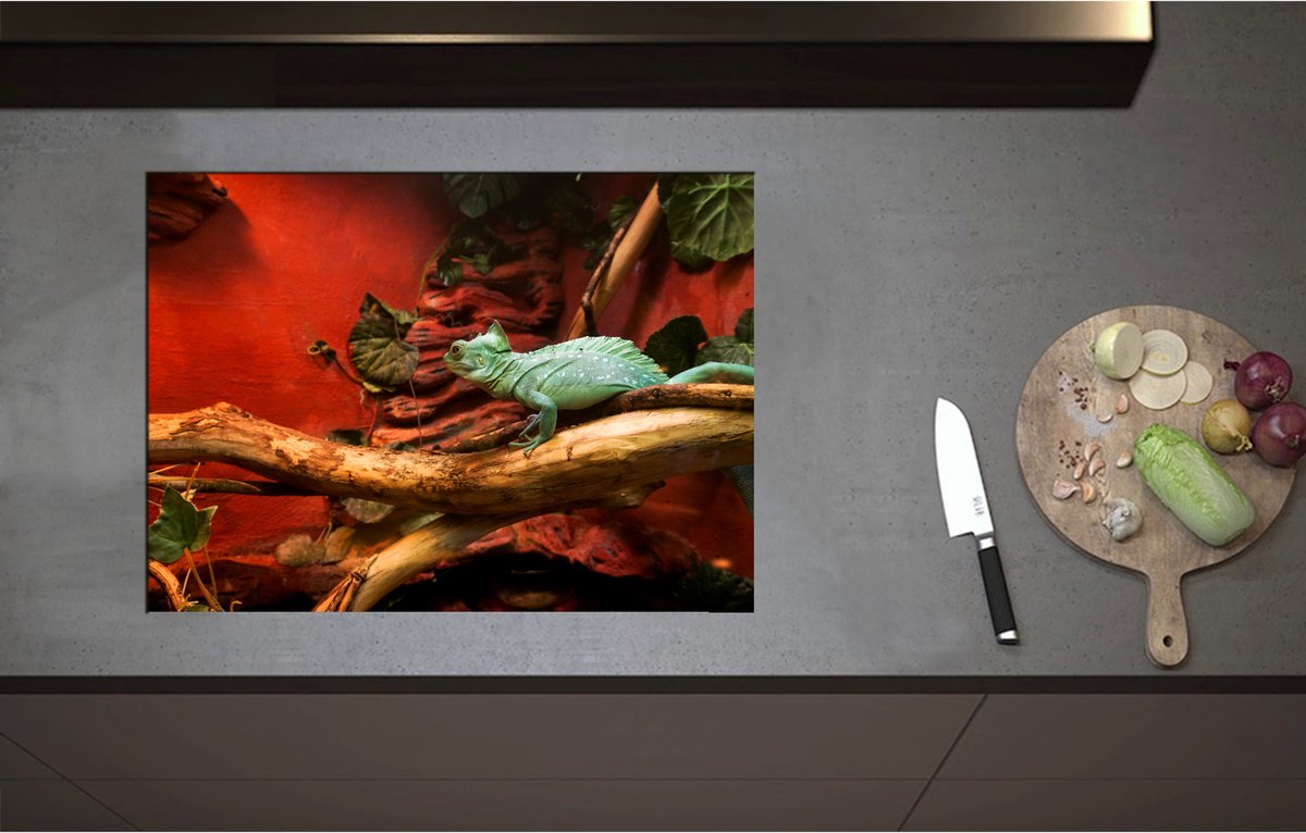 Inductieplaat Beschermer - Blauwe Hagedis op Tak in Verblijf - 70x51 cm - 2 mm Dik - Inductie Beschermer - Bescherming Inductiekookplaat - Kookplaat Beschermer van Wit Vinyl