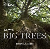 Kewâ€™s Big Trees