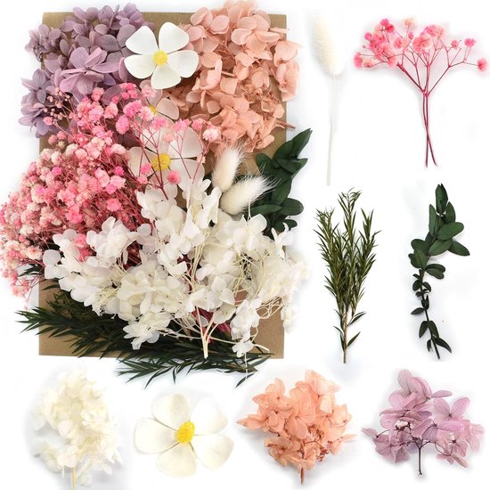 Gedroogde Bloemen online kopen? | Speelgoed