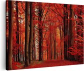 Artaza Canvas Schilderij Rood Pad in een Bos - 30x20 - Klein - Foto Op Canvas - Canvas Print