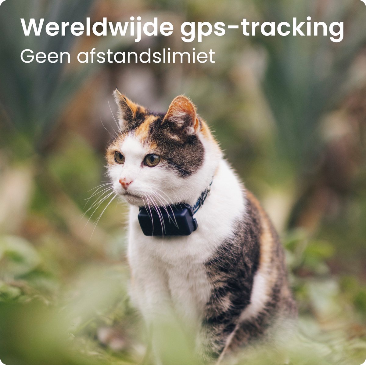 Hoe je iemands locatie live kunt traceren zonder dat hij het weet [2025