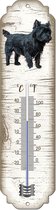 Thermometer: Cairnterriër | Hondenras | Temperatuur binnen en buiten | -25 tot +45C