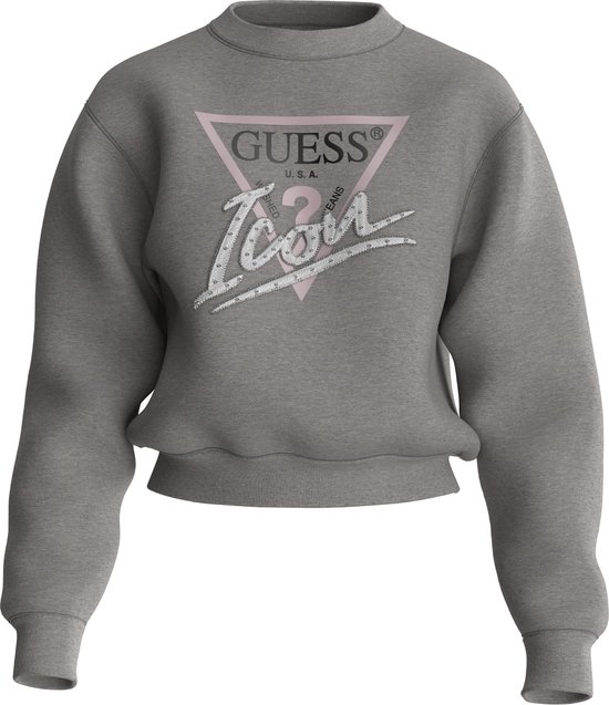 Guess CN Icon Sweatshirt Pull Femme - Grijs - Taille L