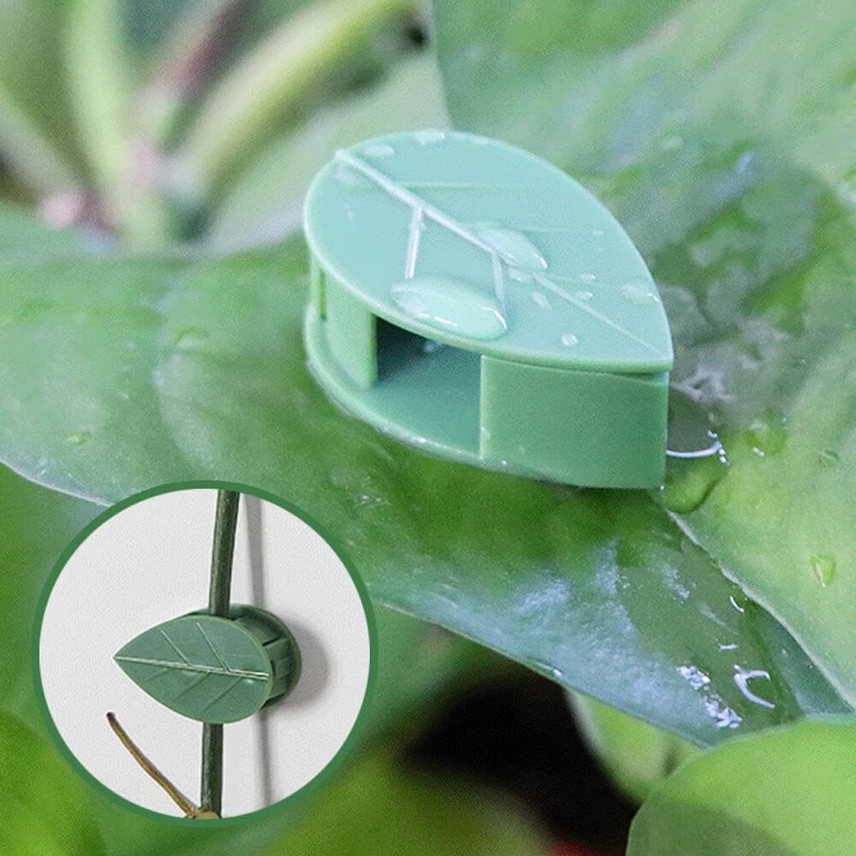 60 Clips Pour Plantes - Pinces à 90° Pour Diriger Croissance - Jardinage