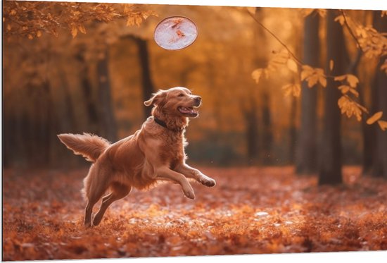 Dibond - Hond - Dier - Spelen - Bos - Bladeren - Herfst - 120x80 cm Foto op Aluminium (Met Ophangsysteem)