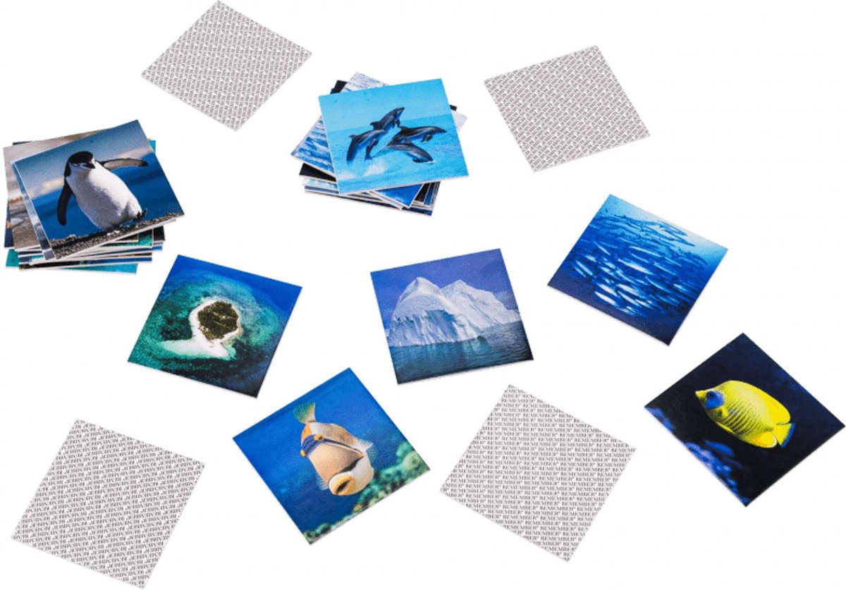 Remember Memory Game - Ocean