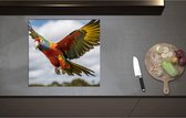 Inductieplaat Beschermer - Ara papegaai vliegt rond over bomen heen - 58x55 cm - 2 mm Dik - Inductie Beschermer - Bescherming Inductiekookplaat - Kookplaat Beschermer van Zwart Vinyl