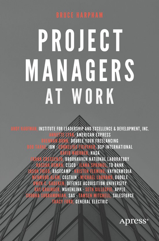 Project Managers at Work - cover