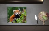 Inductieplaat Beschermer - Aandoenlijke Rode Panda op Boomstam met Groene Planten - 58x50 cm - 2 mm Dik - Inductie Beschermer - Bescherming Inductiekookplaat - Kookplaat Beschermer van Wit Vinyl