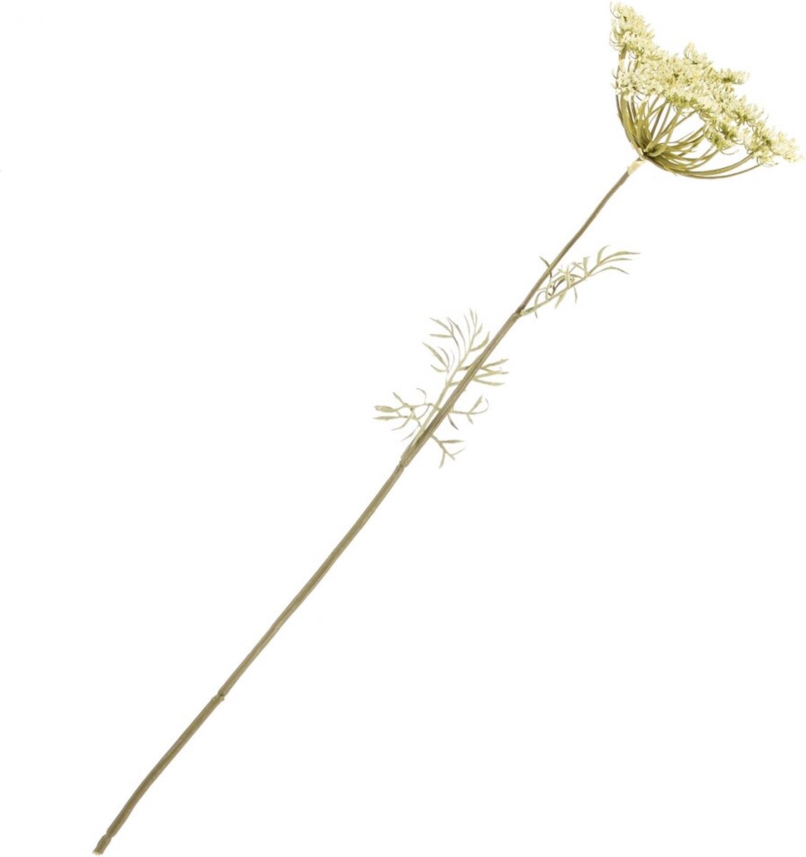 homebound by ky Kunstbloem didiscus crème/naturel Multi