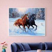 Diamond Painting Paard / Horse Diamond Painting set for adults and children 40x50cm