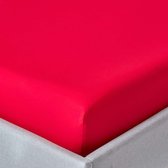 Homescapes hoeslaken rood, draaddichtheid 200, 190 x 120 cm