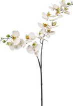 Emerald Kunstbloem Orchidee - 100 cm - wit/groen - losse tak - kunst zijdebloem - Phalaenopsis