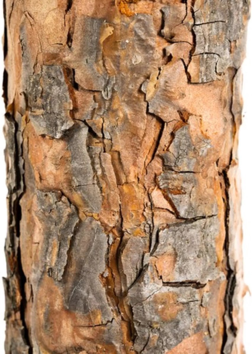 Kerstboom - Kunst kerstoom - 180cm - op natuurlijk stam - kunstkerstboom 180 cm – foto 6