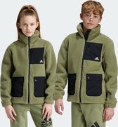 adidas Sportswear Fleece Jack - Kinderen - Groen- 176