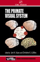 Frontiers in Neuroscience - The Primate Visual System