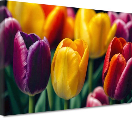 Tulpen wanddecoratie - Bloemen schilderij - Canvas schilderij Bladeren - Vintage schilderij - Schilderijen canvas - Wanddecoratie 150x100 cm