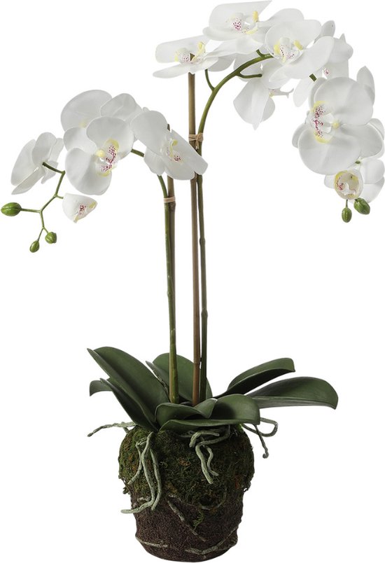 Orchidée artificielle en terre blanche H70