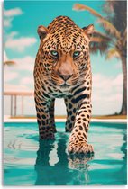 Glasschilderij Pool Tiger 116x78 cm