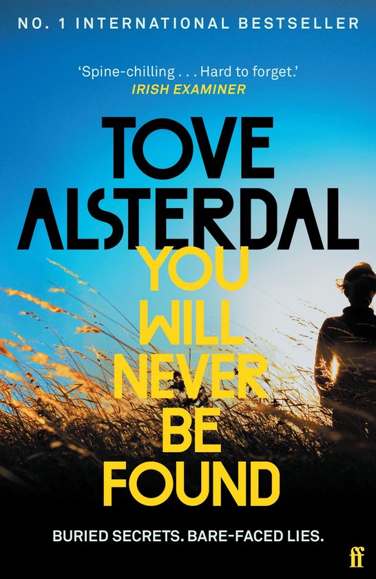 High Coast series 1 - You Will Never Be Found - cover