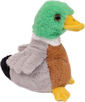 Pia Soft Toys Knuffeldier Wilde Eend - zachte pluche stof - kleurenmix - kwaliteit knuffels - 16 cm - Eenden - Vogels