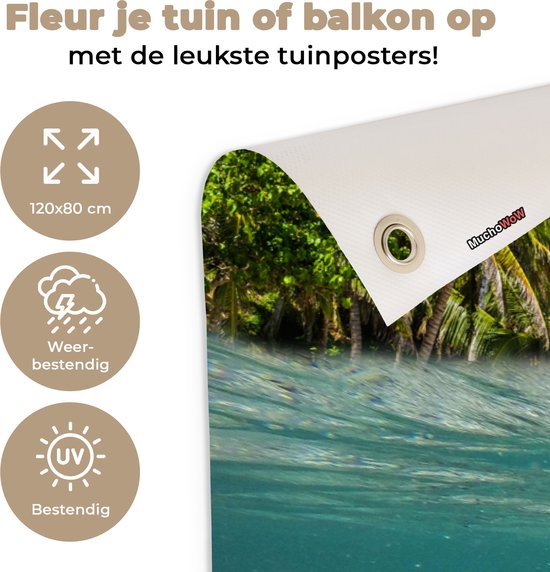 Tuinposter 120x80 cm - Tuindecoratie Strand - Vissen - Tropisch - Poster voor in de tuin - Buiten decoratie - Schutting tuinschilderij - Tuindoek muurdecoratie - Wanddecoratie balkondoek