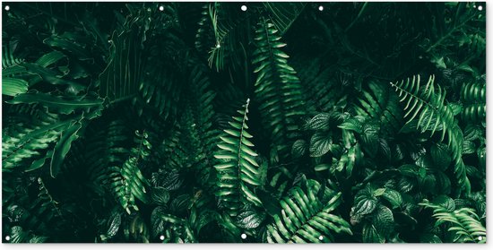 Schuttingposter Bladeren - Jungle - Natuur - Tropisch - Planten - 200x100 cm - Tuindoek
