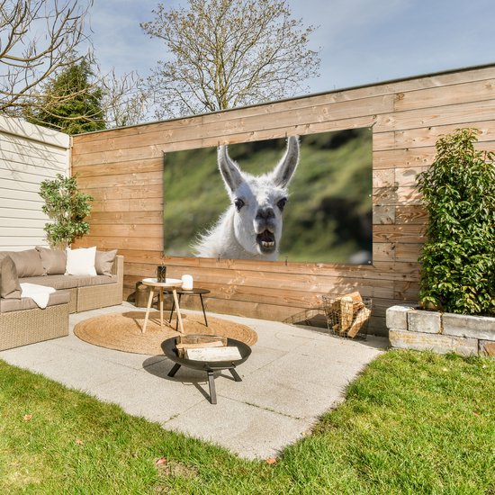 Affiche de clôture Lama - Drôle - Enfants - Garçons - Filles - Kids - 200x100 cm - Toile de jardin