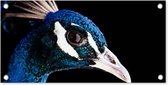 Poster de jardin Paon - Animal - Blauw - 60x30 cm - Toile de jardin - Poster extérieur