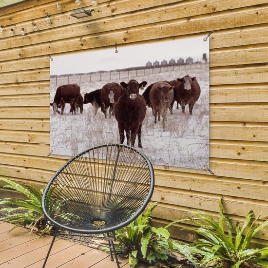 Affiche de jardin Troupeau de vaches dans un champ de neige 120x80 cm - Toile de jardin / Toile d'extérieur / Peintures d'extérieur (décoration de jardin)