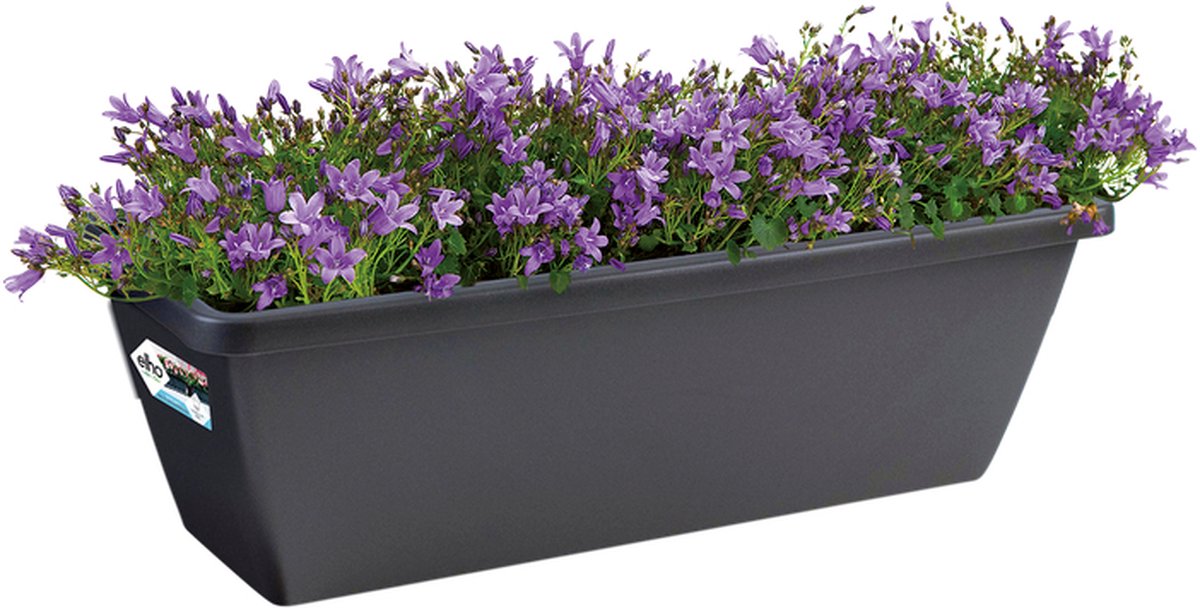 Elho Barcelona Balkonbak 50 - Plantenbak voor Balkon Buiten - Ø 49.8 x H 16.0 cm - Antraciet