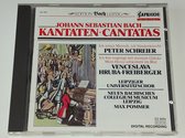 J.S. Bach: Kantaten - Cantatas