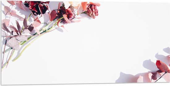 Acrylglas - Kader van Tak met Roze Bloemen - 100x50 cm Foto op Acrylglas (Met Ophangsysteem)