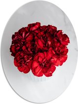 PVC Schuimplaat Ovaal - Boeket Rode Bloemen op Witte Achtergrond - 81x108 cm Foto op Ovaal (Met Ophangsysteem)
