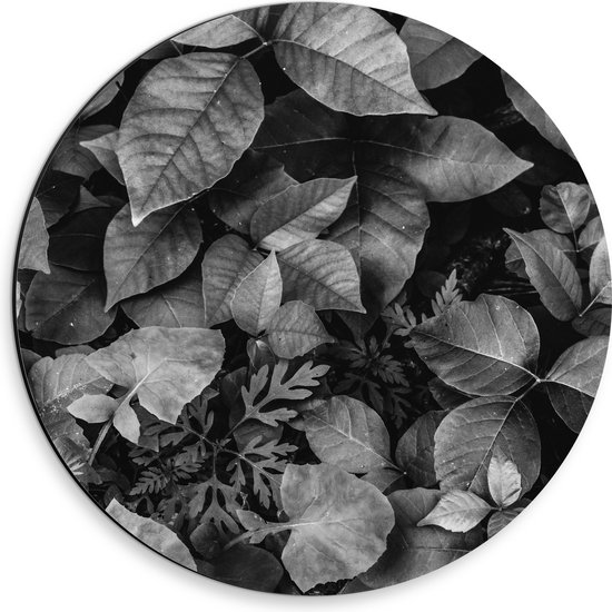 Dibond Muurcirkel - Zwart-Wit Foto van Bladeren - 30x30 cm Foto op Aluminium Muurcirkel (met ophangsysteem)
