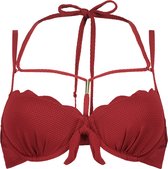 Voorgevormde beugel bikinitop Scallop