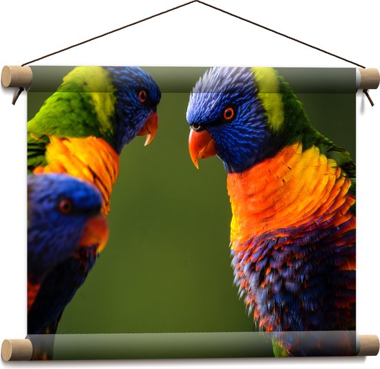 WallClassics - Textielposter - Twee Lori's - 40x30 cm Foto op Textiel