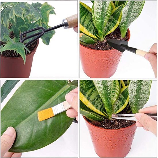 Gereedschapsset voor Kamerplanten - 10-delig / Tuingereedschap - Plantjes in huis - Bonsai van LaLuce — afbeelding 4