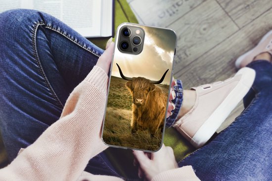 Coque iPhone 13 Pro - Highlander écossais - Soleil - Animaux - Siliconen