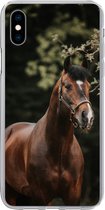 Geschikt voor iPhone Xs hoesje - Paard - Takken - Portret - Siliconen Telefoonhoesje
