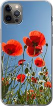 Geschikt voor iPhone 12 Pro Max hoesje - Felle zon boven een aantal klaprozen in Spanje - Siliconen Telefoonhoesje