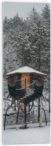 Acrylglas - Klein Huisje tussen de Bomen in de Sneeuw - 30x90 cm Foto op Acrylglas (Met Ophangsysteem)