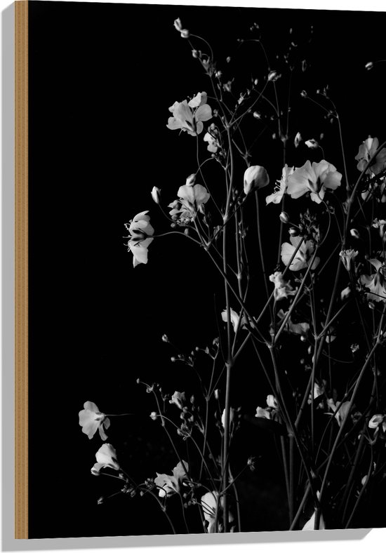 Hout - Sluierkruid Bloemen Zwart/Wit - 50x75 cm - 9 mm dik - Foto op Hout (Met Ophangsysteem)