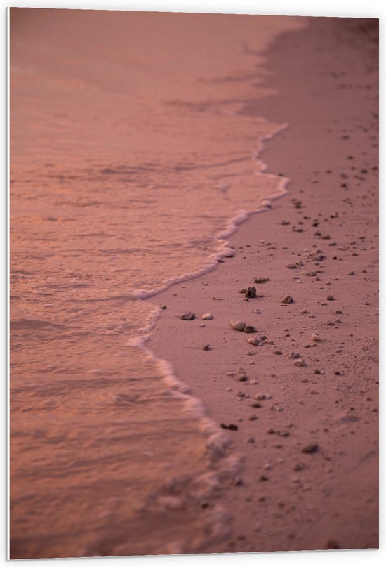 PVC Schuimplaat- Strand met Steentjes bij het Zee Water - 60x90 cm Foto op PVC Schuimplaat