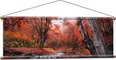 Textielposter - Bos met Stromend Water en Roodkleurige Bladeren - 120x40 cm Foto op Textiel